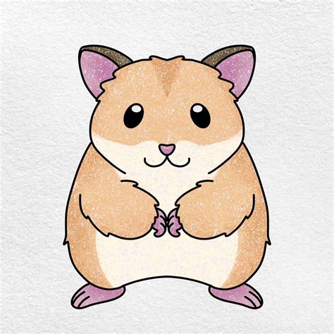 drawings of hamsters